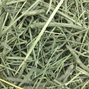 Oxbow Western Timothy Hay, Rabbit & Guinea Pig Hay, High Fiber, USA, 90 oz | Oxbow Timothy Hay, Bunny Hay For Rabbits, Guinea Pigs, Bunnies and Chinchillas, Hand-Sorted, De-Dusted, Made in USA