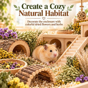 Sukh 42Pcs Hamster Sprays Natural - Sprays & Forage for Small Animals | Chew Herbs for Syrian Dwarf Hamsters & Guinea Pigs, Habitat Dry Flowers Decor, Hideout Enrichment, Cage & Bedding Accessories