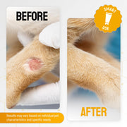 SILVER GRADE Dog Wound Care with Manuka Honey & Colloidal Silver for Scratches & Skin Irritations – Cat & Dog Hot Spot Treatment Gel Works as Honey Rapid Wound Repair for Horses – for All Pets – 2-Oz