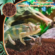 Riare 2 Pack Natural Coconut Fiber Substrate, Coco Coir Reptile Bedding | Coconut Husk Reptile Substrate for Tortoises, Hermit Crabs, Snakes, Bearded Dragon, Geckos, Reptile Enclosure/Terrarium Setup