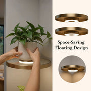 🌿 Floating Plant Shelf with Built-in Ambient LED Light