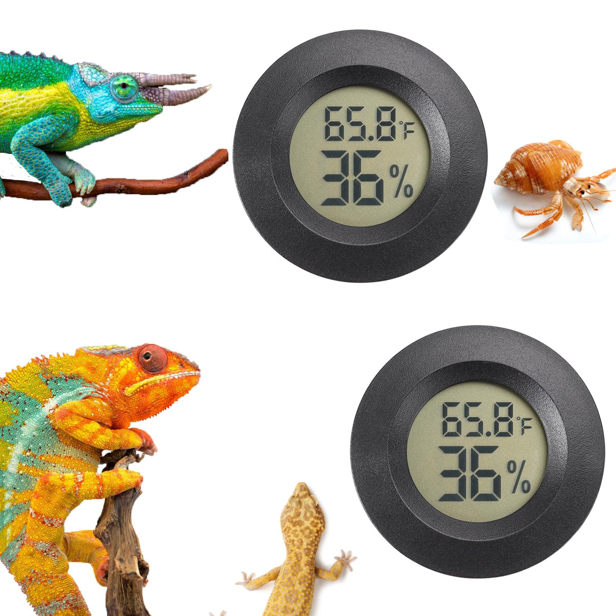 Reptile Thermometer and Humidity Gauge Digtal Terrarium Thermometer 2pc