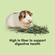Kaytee Timothy Hay Blend Cubes for Rabbits, Guinea Pigs & Chinchillas | Digestive support. Compressed timothy hay cubes with alfalfa hay. High fiber, guinea pig hay, lower protein