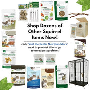 Exotic Nutrition Squirrel Beneficial Blocks - Healthy & Unique Supplemental Food with Nuts & Seeds, 10 oz