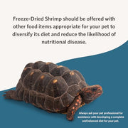 Fluker's Freeze Dried River Shrimp, Nutrient-Packed, Ideal for Lizards, Reptiles, Birds, Fish, Hedgehogs, 1 Oz