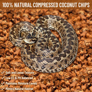 Riare 10LB Coconut Husk Chip for Reptiles, 72 Quart Coconut Fiber Substrate | Coco Chips Substrate Coconut Husk Bedding for Snakes, Tortoises, Ball Python, Bearded Dragon, Geckos, Lizards, Frogs