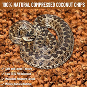 Riare 10LB Coconut Husk Chip for Reptiles, 72 Quart Coconut Fiber Substrate | Coco Chips Substrate Coconut Husk Bedding for Snakes, Tortoises, Ball Python, Bearded Dragon, Geckos, Lizards, Frogs