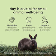 Kaytee Timothy Hay Blend Cubes for Rabbits, Guinea Pigs & Chinchillas | Digestive support. Compressed timothy hay cubes with alfalfa hay. High fiber, guinea pig hay, lower protein