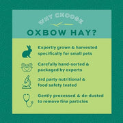 Oxbow Western Timothy Hay, Rabbit & Guinea Pig Hay, High Fiber, USA, 90 oz | Oxbow Timothy Hay, Bunny Hay For Rabbits, Guinea Pigs, Bunnies and Chinchillas, Hand-Sorted, De-Dusted, Made in USA