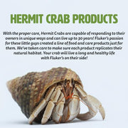 Fluker's All Natural Premium Hermit Crab Sand Substrate, Sand Mixture with Coconut Fiber, For Hermit Crab Tanks, 12 lbs.