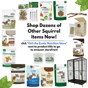 Exotic Nutrition Squirrel Beneficial Blocks - Healthy & Unique Supplemental Food with Nuts & Seeds, 10 oz
