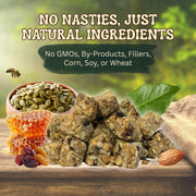 Exotic Nutrition Squirrel Beneficial Blocks - Healthy & Unique Supplemental Food with Nuts & Seeds, 10 oz
