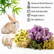 Sukh 42Pcs Hamster Sprays Natural - Sprays & Forage for Small Animals | Chew Herbs for Syrian Dwarf Hamsters & Guinea Pigs, Habitat Dry Flowers Decor, Hideout Enrichment, Cage & Bedding Accessories