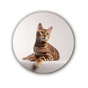 Custom Prints Rounded Shape | Glass Wall Art