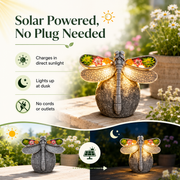 ✨Solar Dragonfly Garden Light Decor