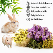 Sukh 42Pcs Hamster Sprays Natural - Sprays & Forage for Small Animals | Chew Herbs for Syrian Dwarf Hamsters & Guinea Pigs, Habitat Dry Flowers Decor, Hideout Enrichment, Cage & Bedding Accessories
