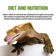 Fluker's Buffet Blend Box Turtle Diet, Insects, Veggies and Fruit with Fortified Pellets, 6.5 oz