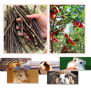 Bojafa 250g Apple Sticks Small Animals Molar Wood Treats Toys for Rabbits Chinchillas Guinea Pig Hamster Gerbil Parrot Bunny and Small Animals Chew Stick Toys Treats