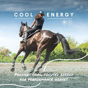 Manna Pro Cool Calories 100 Horse Supplement, High-Calorie, 8 lb Bag