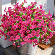 🔥Last Day 49% OFF🔥UV Resistant Artificial Petunias Flowers