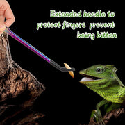 OLIISS Iridescent Reptile Feeding Tongs with Rubber Tips, 10.6", 2 Pack | Straight & Curved, Stainless Steel, Secure Grip, Feeder Tools for Bearded Dragons, Geckos & Lizards, Terrarium Tank Supplies