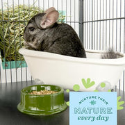 Oxbow POOF! Chinchilla Dust Bath, Natural Chinchilla Dust, USA, 2.5 lb | Blue Beauty, Dust For Chinchillas, Chinchilla Dust, Degus, Gerbils, Hamsters, Grooming, Coat Care, Small Pet Supplies
