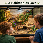 RUNANIA Bearded Dragon Tank Accessories, 10 PCS Reptile Hammock Plants Bridge Jungle Climber Vines for Snakes Bearded Dragon Chameleon Gecko Lizard