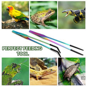 OLIISS Iridescent Reptile Feeding Tongs with Rubber Tips, 10.6", 2 Pack | Straight & Curved, Stainless Steel, Secure Grip, Feeder Tools for Bearded Dragons, Geckos & Lizards, Terrarium Tank Supplies