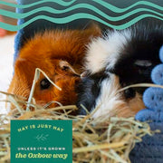 Oxbow Western Timothy Hay, Rabbit & Guinea Pig Hay, High Fiber, USA, 90 oz | Oxbow Timothy Hay, Bunny Hay For Rabbits, Guinea Pigs, Bunnies and Chinchillas, Hand-Sorted, De-Dusted, Made in USA