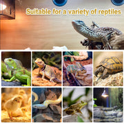 MIXJOY 150W Reptile Heat Lamp Bulbs, 2Pack Heat Lamp Bulbs for Reptiles Basking Bulbs UVA Daylight Basking Light Amphibians Heating Lamp Emitter for Lizard, Tortoise, Bearded Dragon Gecko, Chicken
