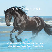Manna Pro Cool Calories 100 Horse Supplement, High-Calorie, 8 lb Bag