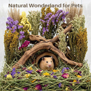 Sukh 42Pcs Hamster Sprays Natural - Sprays & Forage for Small Animals | Chew Herbs for Syrian Dwarf Hamsters & Guinea Pigs, Habitat Dry Flowers Decor, Hideout Enrichment, Cage & Bedding Accessories