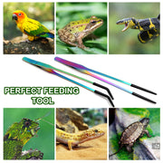 OLIISS Iridescent Reptile Feeding Tongs with Rubber Tips, 10.6", 2 Pack | Straight & Curved, Stainless Steel, Secure Grip, Feeder Tools for Bearded Dragons, Geckos & Lizards, Terrarium Tank Supplies