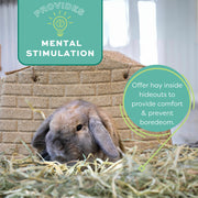 Oxbow Western Timothy Hay, Rabbit & Guinea Pig Hay, High Fiber, USA, 90 oz | Oxbow Timothy Hay, Bunny Hay For Rabbits, Guinea Pigs, Bunnies and Chinchillas, Hand-Sorted, De-Dusted, Made in USA