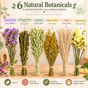 Sukh 42Pcs Hamster Sprays Natural - Sprays & Forage for Small Animals | Chew Herbs for Syrian Dwarf Hamsters & Guinea Pigs, Habitat Dry Flowers Decor, Hideout Enrichment, Cage & Bedding Accessories