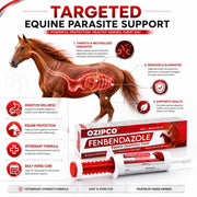 OZIPCO Fenbendazole Equine Dewormer Paste 10% for Horses | 25 Gram Oral Paste Syringe | Broad Spectrum Horse Wormer | Apple Flavor