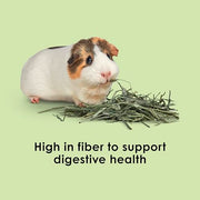 Kaytee Timothy Hay Blend Cubes for Rabbits, Guinea Pigs & Chinchillas | Digestive support. Compressed timothy hay cubes with alfalfa hay. High fiber, guinea pig hay, lower protein