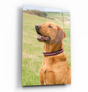 Custom Prints Vertical Shape | Glass Wall Art