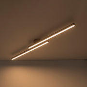 Dimmable 2-Light Long Strip Linear LED Flush Mount