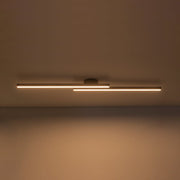 Dimmable 2-Light Long Strip Linear LED Flush Mount
