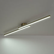 Dimmable 2-Light Long Strip Linear LED Flush Mount