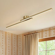 Dimmable 2-Light Long Strip Linear LED Flush Mount
