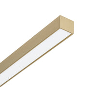 Dimmable 2-Light Long Strip Linear LED Flush Mount