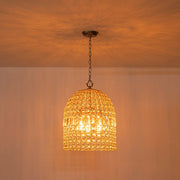 French Antique Brass Crystal Cage Chandelier