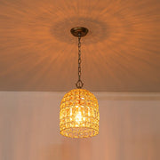 French Antique Brass Crystal Cage Chandelier
