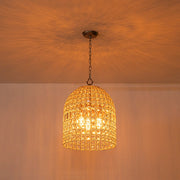 French Antique Brass Crystal Cage Chandelier
