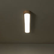 Natural Wood Long Oval Dimmable LED Flush Mount Light