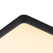 Rectangle LED Flush Mount Light