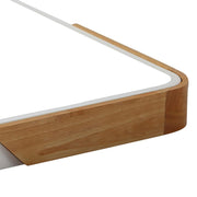 Rectangle LED Flush Mount Light